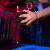 2019 Albums Torture Garden Shows Earth Show Dsc 1942.Jpg