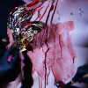 2019 Albums Torture Garden Shows Tg Shows May Ball Synth Icorn Dsc 1499.Jpg