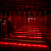 2024 Albums Torture Garden Tg June Dsc 2840.Jpg