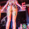 2019 Albums Torture Garden Shows Tg Shows May Ball Synth Icorn Dsc 1561.Jpg